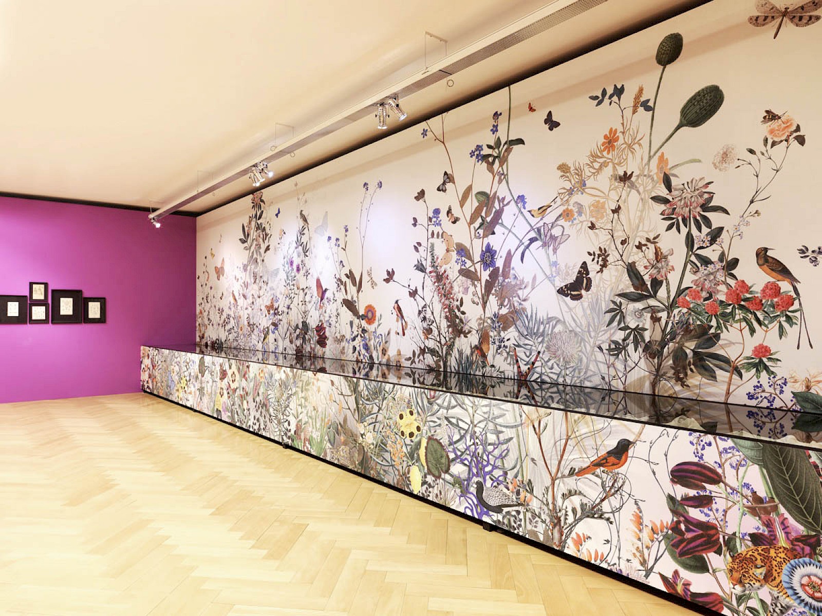 Image - Wallpaper Design for Textilmuseum St.Gallen, Switzerland