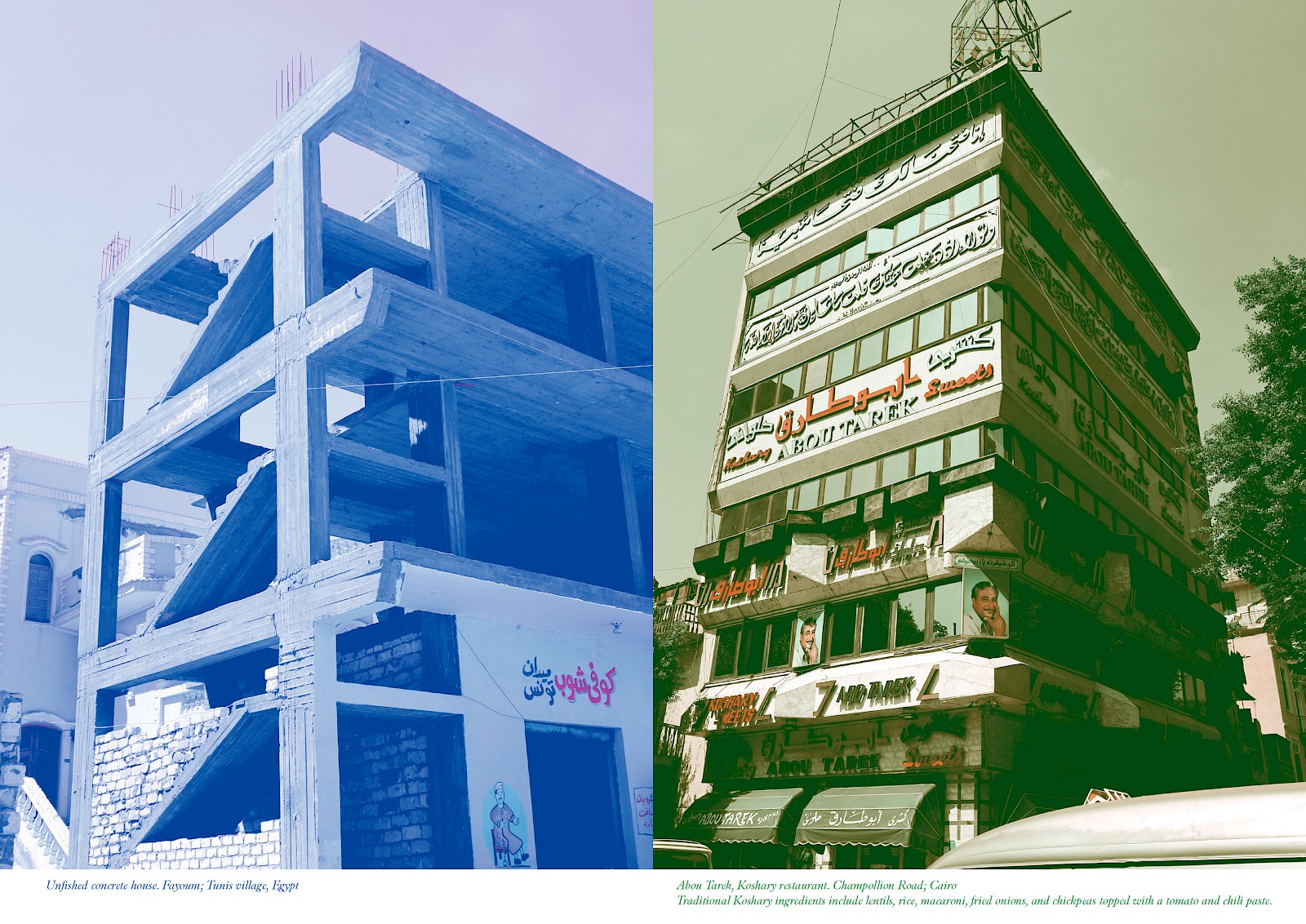 Image - Riso Publication: Image vehicles, Cairo 2022